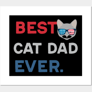 Best cat dad ever Posters and Art